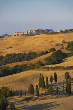 Cipressi di Monticchielo, İtalya, Montepulciano yakınlarındaki Tipik Toskana manzarası