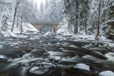 Zemska Brana 'daki Divoka Orlice Nehri, Orlicke Dağları, Doğu Bohemya, Çek Cumhuriyeti