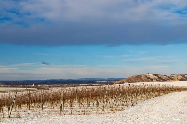 Paysage Hivernal Près Popice Moravie Sud République Tchèque — Photo