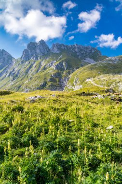 Mangart Dağı, Triglav Ulusal Parkı, Julian Alps, Slovenya