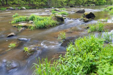 Çek Cumhuriyeti, Smrcna yakınlarındaki Sazava nehri