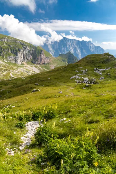 Góra Mangart Park Narodowy Triglav Alpy Julijskie Słowenia — Zdjęcie stockowe