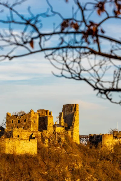 Cornstejn Harabeleri Çek Cumhuriyeti — Stok fotoğraf