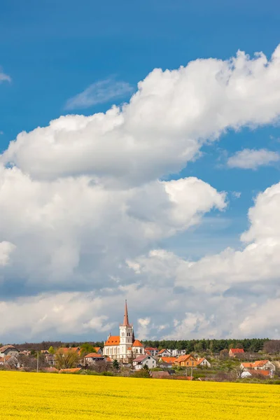 Ανοιξιάτικο Τοπίο Κοντά Στο Konice Κοντά Στο Znojmo Τσεχία — Φωτογραφία Αρχείου