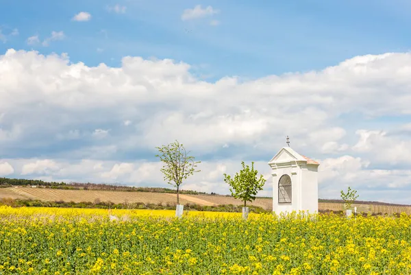 Paisagem Primavera Perto Konice Perto Znojmo República Checa — Fotografia de Stock