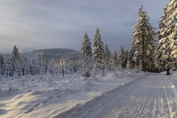 Paisagem Inverno Com Snezka Giant Mountains Krkonose Northern Bohemia República — Fotografia de Stock