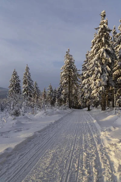 Zimní Krajina Sněžkou Krkonoše Severní Čechy Česká Republika — Stock fotografie