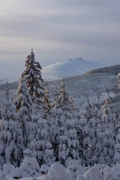 Paisagem Inverno Com Snezka Giant Mountains Krkonose Northern Bohemia República — Fotografia de Stock