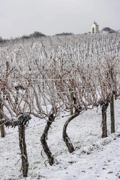 Calvaire Proche Hnanice Région Znojmo Moravie Sud République Tchèque — Photo