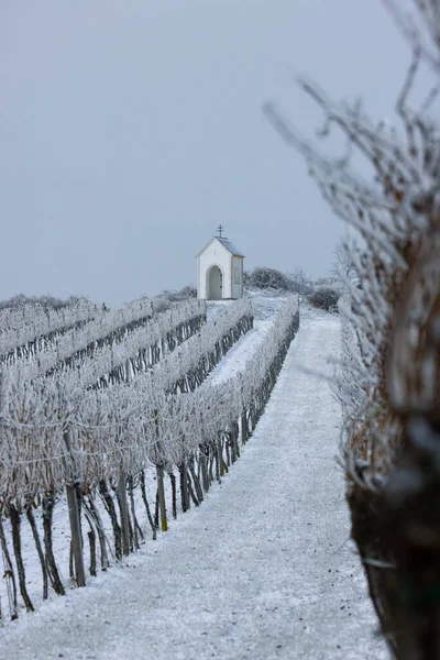 Golgata Nära Hnanice Znojmo Region Södra Mähren Tjeckien — Stockfoto