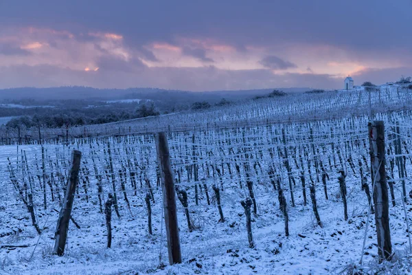 Calvaire Proche Hnanice Région Znojmo Moravie Sud République Tchèque — Photo