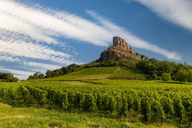 Üzüm bağı olan Solutre Kayası, Burgundy, Solutre-Pouilly, Fransa