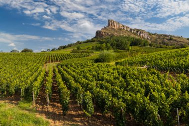 Rock of Solutre with vineyards, Burgundy, Solutre-Pouilly, France clipart