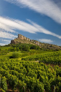 Üzüm bağı olan Solutre Kayası, Burgundy, Solutre-Pouilly, Fransa