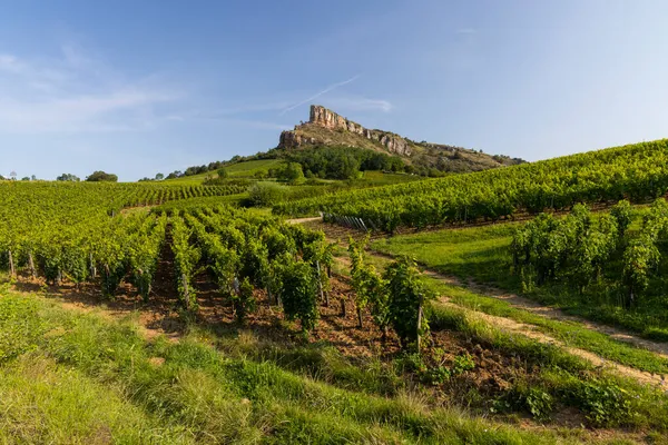 Rock Solutre Vineyards Burgundy Solutre Pouilly France — Stock Photo, Image