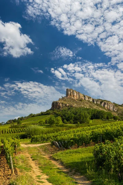 Felsen Von Solutre Mit Weinbergen Burgund Solutre Pouilly Frankreich — Stockfoto