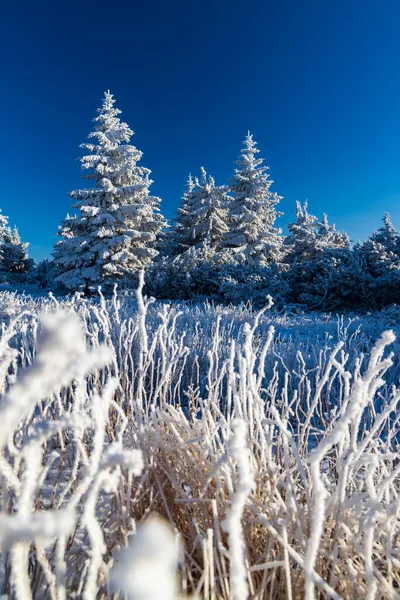 チェコ共和国東ボヘミアのオルリケ山脈ヴェルカ デストナ付近の冬の風景 — ストック写真