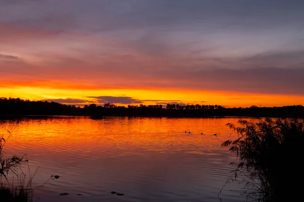 Pôr Sol Sobre Lagoa Rezabinec Perto Cidade Pisek Sul Boêmia — Fotografia de Stock