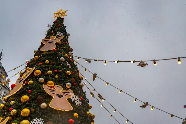 Árvore Natal Praça Venceslau Praga República Checa — Fotografia de Stock