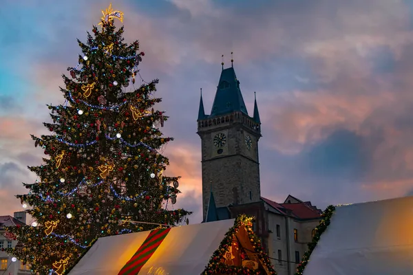 Vánoční Stromek Staroměstském Náměstí Praze — Stock fotografie