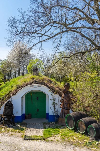 Group Typical Outdoor Wine Cellars Plze Petrov Southern Moravia Czech — Stock Photo, Image