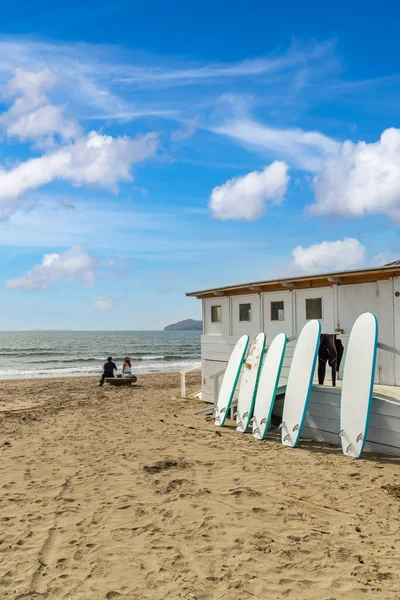 Surfbretter Strand Von Cartello Bei Orbetello Toskana Italien — Stockfoto
