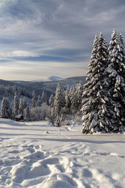 Vinterlandskap Med Snezka Giant Mountains Krkonose Norra Böhmen Tjeckien — Stockfoto