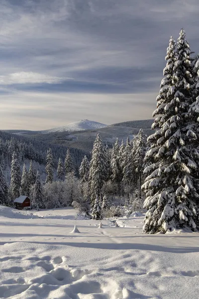 Paysage Hivernal Avec Snezka Montagnes Géantes Krkonose Bohême Nord République — Photo