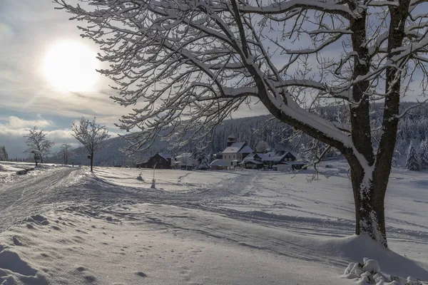捷克共和国北部波希米亚巨山Mala Upa周围的冬季景观 — 图库照片