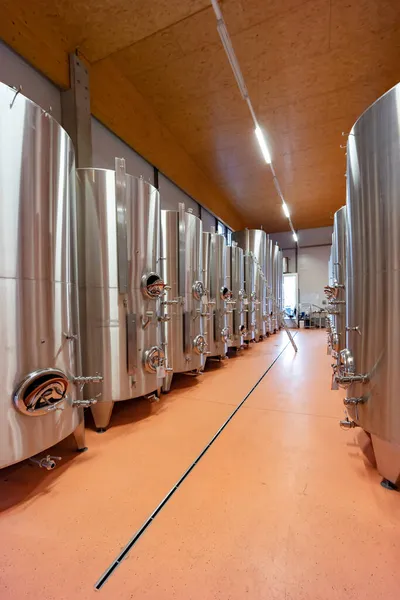 Viyana yakınlarındaki Traiskirchen 'de şarap mahzeni, Thermenregion, Avusturya