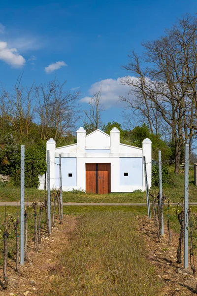 Wine Cellar Palava Region South Moravia Czech Republic — Stock Photo, Image