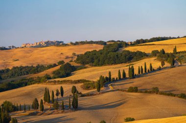 Cipressi di Monticchielo, İtalya, Montepulciano yakınlarındaki Tipik Toskana manzarası