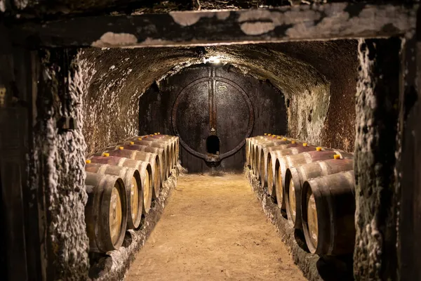 Caves Vin Avec Tonneaux Près Eger Hongrie — Photo