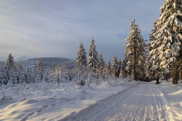 Vinterlandskap Med Snezka Giant Mountains Krkonose Norra Böhmen Tjeckien — Stockfoto