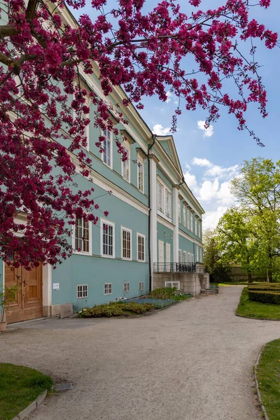 Castillo Dacice Sur Bohemia República Checa — Foto de Stock