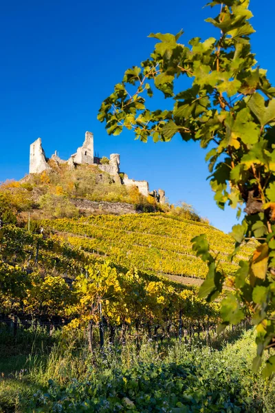 Zřícenina Senftenbergu Okres Krems Land Dolní Rakousko Rakousko — Stock fotografie