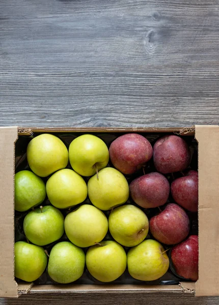 Diferentes Tipos Maçãs Verdes Vermelhas — Fotografia de Stock