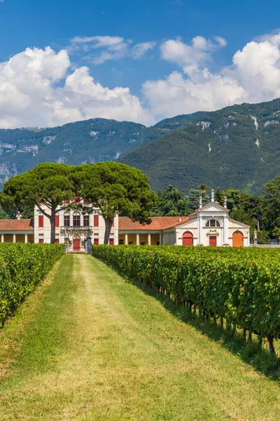 Villa Angarano Bassano Del Grappa Benátsko Severní Itálie — Stock fotografie