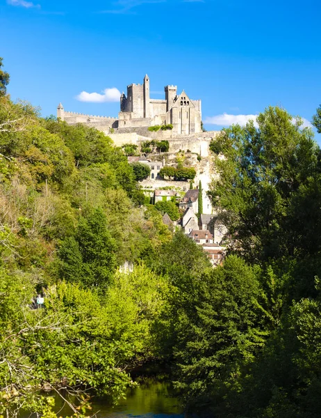 Camargue Der Südlichen Provence Frankreich — Stockfoto