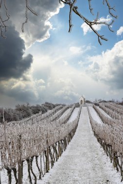 Hnanice yakınlarındaki Calvary, Znojmo bölgesi, Güney Moravya, Çek Cumhuriyeti