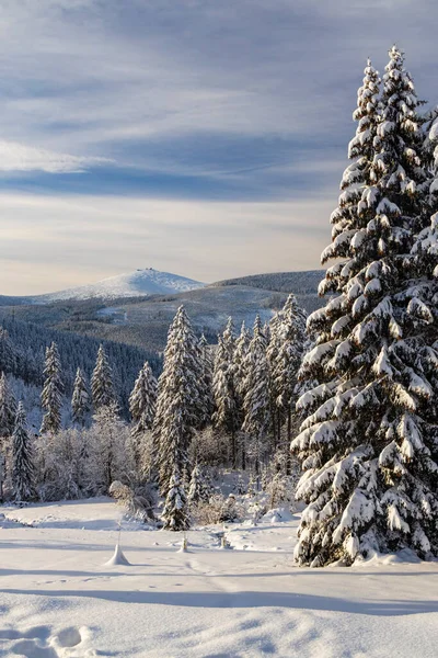 Vinterlandskap Med Snezka Giant Mountains Krkonose Norra Böhmen Tjeckien — Stockfoto