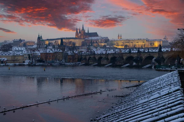 Камарг Юге Прованса Франция — стоковое фото