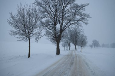 Taze karlı tozlu bir yol