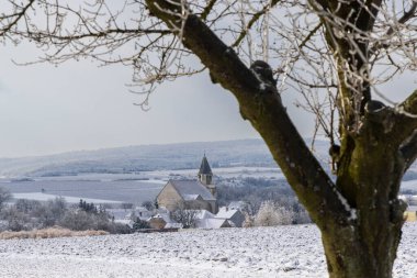 Üzüm bağı olan Hnanice Kilisesi, Znojmo Bölgesi, Güney Moravya, Çek Cumhuriyeti