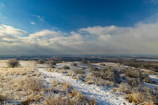 Krajobraz Zimowy Palava Morawy Południowe Czechy — Zdjęcie stockowe