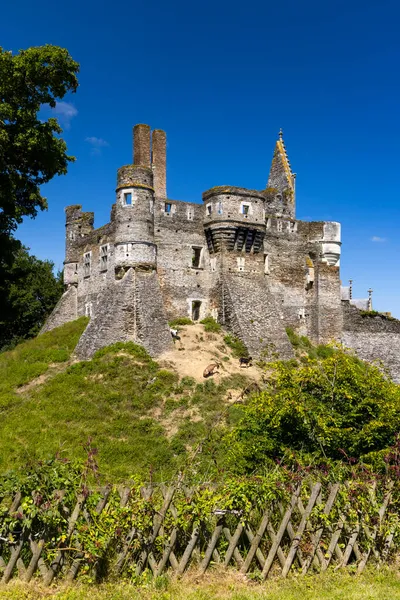 Chateau Plessis Mace Pays Loire France — стоковое фото