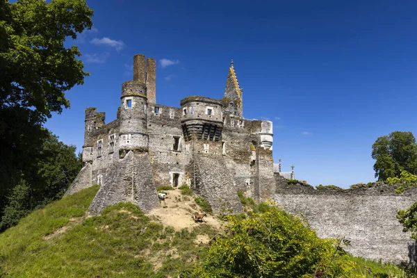 Chateau Plessis Mace Pays Loire France — стокове фото
