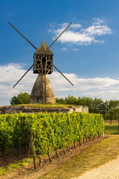 Molino Viento Tranchee Viñedo Cerca Montsoreau Pays Loire Francia — Foto de Stock