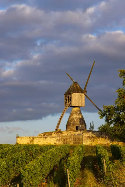 Windmill Tranchee Vineyard Montsoreau Pays Loire France — Stock Photo, Image