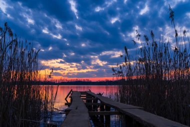 Rezabinec göleti, Güney Bohemya, Çek Cumhuriyeti